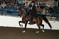 r14-04_1246 proof