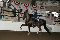r14-04_1262 proof