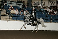 r14-04_1268 proof