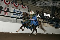 r14-04_1272 proof