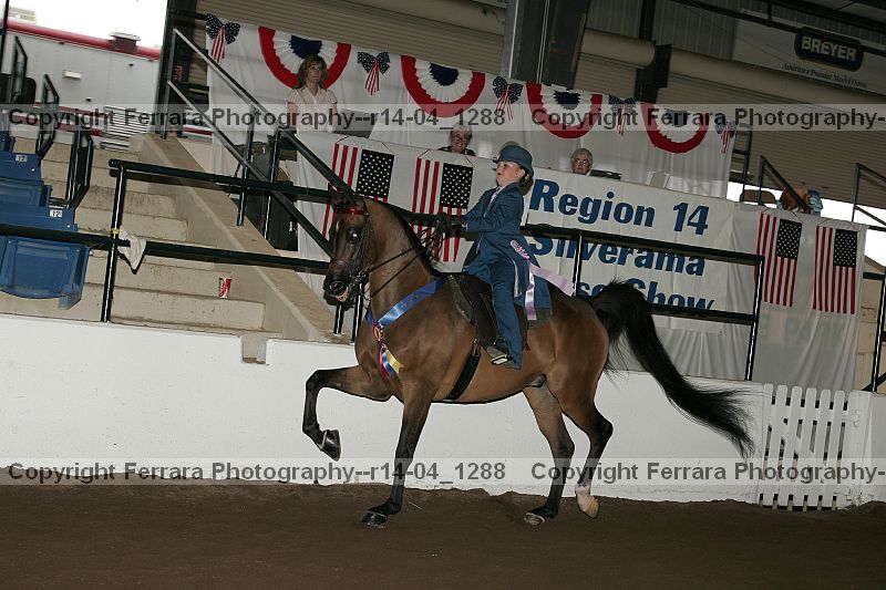 Proof r14-04_1288