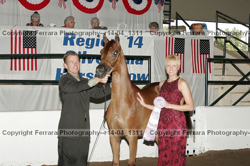 Proof r14-04_1311