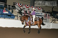 r14-04_1383 proof