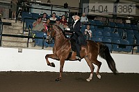 r14-04_1386 proof