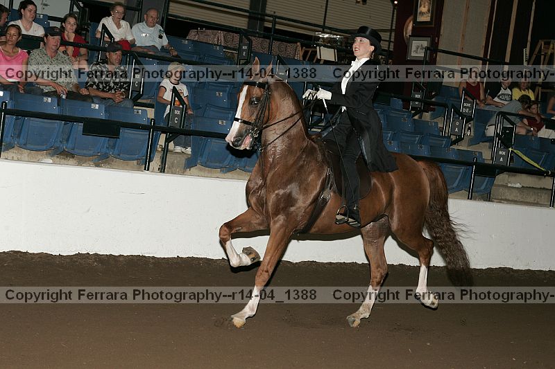 Proof r14-04_1388
