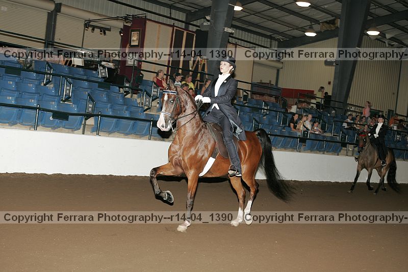Proof r14-04_1390