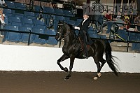 r14-04_1393 proof