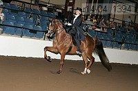 r14-04_1394 proof