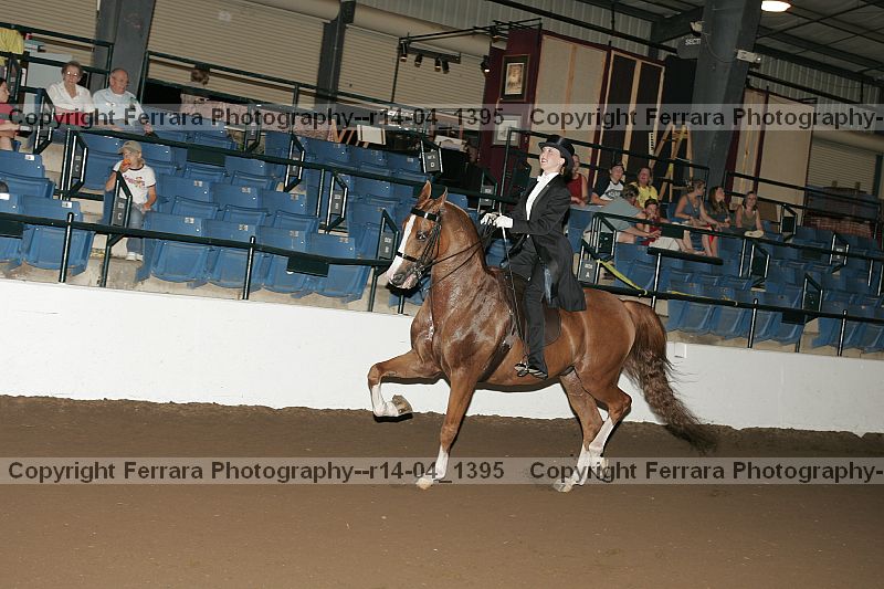 Proof r14-04_1395