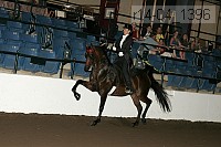 r14-04_1396 proof