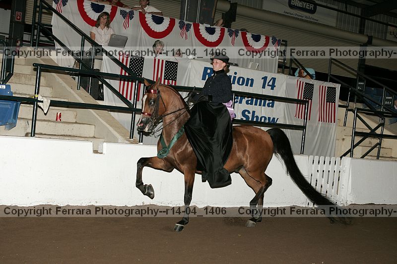 Proof r14-04_1406
