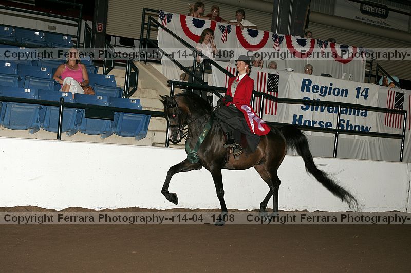Proof r14-04_1408