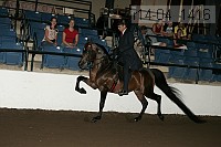 r14-04_1416 proof
