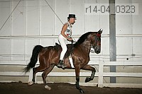 r14-04_0323 proof
