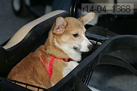 r14-04_1368 proof