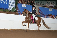 r12-04--0132 proof