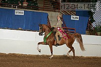 r12-04--1495 proof