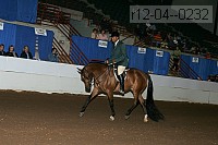 r12-04--0232 proof
