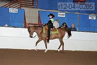 r12-04--0285 proof