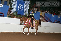 r12-04--0290 proof
