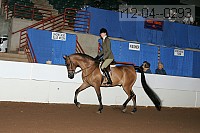 r12-04--0293 proof