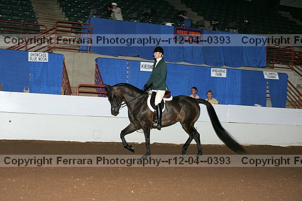 Proof r12-04--0393