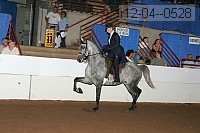 r12-04--0528 proof