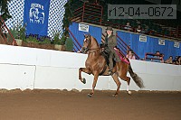 r12-04--0672 proof