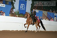 r12-04--0673 proof