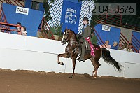 r12-04--0675 proof