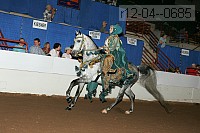 r12-04--0685 proof