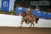 r12-04--0693 proof