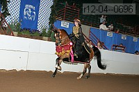 r12-04--0696 proof