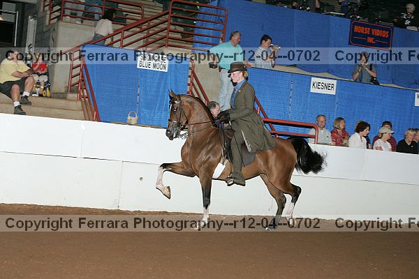 Proof r12-04--0702
