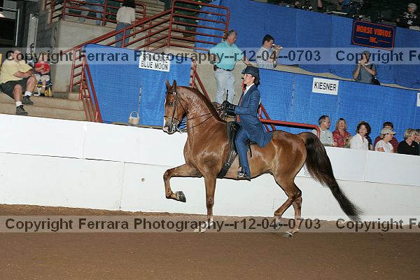 Proof r12-04--0703