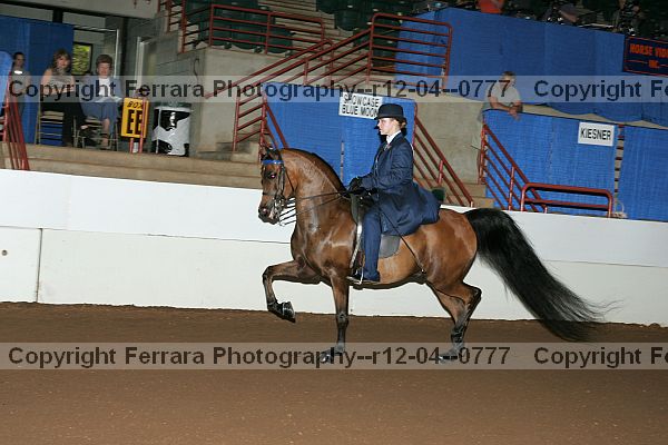 Proof r12-04--0777