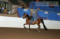 r12-04--0779 proof
