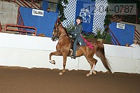 r12-04--0787 proof