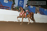 r12-04--0793 proof