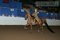 r12-04--0873 proof