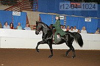 r12-04--1024 proof