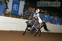 r12-04--1141 proof