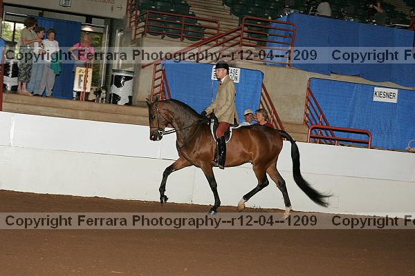 Proof r12-04--1209