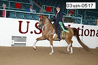 03usn-0517 proof