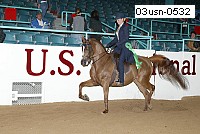 03usn-0532 proof