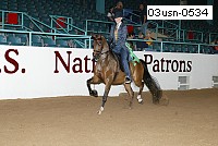 03usn-0534 proof