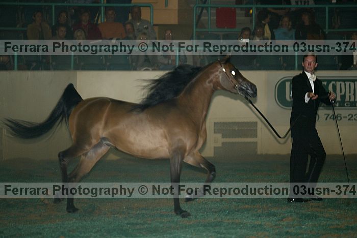 Proof 03usn-3749