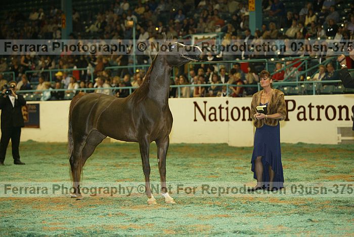 Proof 03usn-3753