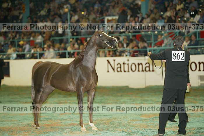 Proof 03usn-3754