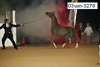 03usn-3278 proof